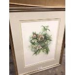 Jillian McDougall, Hellebores, watercolour, initialled bottom right, paper label verso, ex Broughton