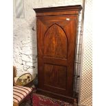 A 19thc mahogany Continental shallow cupboard, the moulded cornice above a Gothic panelled door,