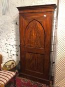 A 19thc mahogany Continental shallow cupboard, the moulded cornice above a Gothic panelled door,
