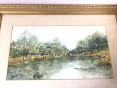 Maureen Gove, Autumn Scene, watercolour, signed bottom left (30cm x 54cm)