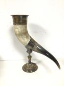 An Edwardian horn in an Epns mount and stand, initial W engraved in cartouche (35cm)