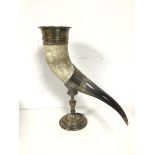 An Edwardian horn in an Epns mount and stand, initial W engraved in cartouche (35cm)