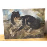 Scottish School, Victorian period, Portrait of Reclining Dog in Landscape, oil, unframed (50cm x