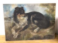 Scottish School, Victorian period, Portrait of Reclining Dog in Landscape, oil, unframed (50cm x