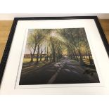 Pinse, Glistening Patterns on Middle Meadow Walk, limited edition print 3/195, signed in pencil