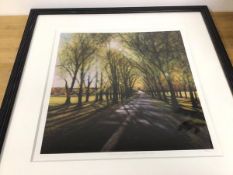 Pinse, Glistening Patterns on Middle Meadow Walk, limited edition print 3/195, signed in pencil