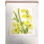 I.G. Erskine, Yellow Flags, North Uist, limited edition print, 13/50, signed in pencil bottom