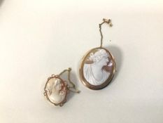 Two shell cameos, depicting Classical female figures, in 9ct gold mounts (larger: 4.5cm x 3.5cm)