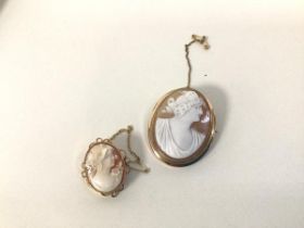 Two shell cameos, depicting Classical female figures, in 9ct gold mounts (larger: 4.5cm x 3.5cm)
