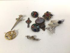 A collection of Scottish brooches including polished stone, stag's head, thistles etc. (8), and