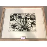 •John Houston O.B.E., R.S.A. (Scottish, 1930-2008), Poppies, etching, 1993, signed in pencil, ed.