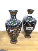 A pair of cloisonne vases, of baluster form (each: 31cm)