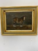 19thc school, Drayhorse, oil on panel, unsigned, in gilt composition frame (17cm x 24cm)