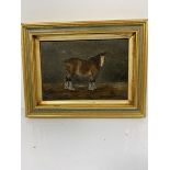 19thc school, Drayhorse, oil on panel, unsigned, in gilt composition frame (17cm x 24cm)