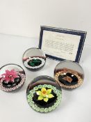 Caithness: a set of four cased glass paperweights designed by Colin Terris, made by William