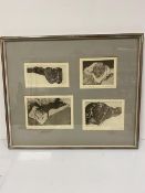 Margaret Trehearne, Sleeping Nude, engravings, a series of four in a single frame, nos I, II, III