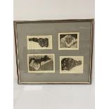 Margaret Trehearne, Sleeping Nude, engravings, a series of four in a single frame, nos I, II, III