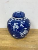 A modern Chinese ginger jar, with prunus decoration, unmarked (20cm)