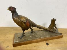 A mid 20thc novelty table lighter in the form of a cast metal painted Pheasant, the lighter found in