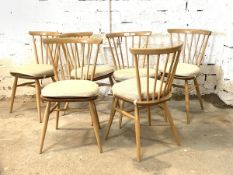 Ercol - A set of six blonde elm dining chairs, with shaped crest rail and spindle back over saddle