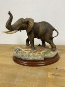A Border Fine Arts elephant figure, Herd Bull (21cm)