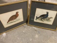 Two late 19thc/early 20thc coloured prints of Birds including Red Grouse and Black Grouse (each:
