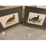 Two late 19thc/early 20thc coloured prints of Birds including Red Grouse and Black Grouse (each:
