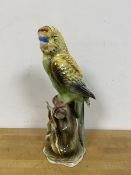 A ceramic figure of a Parakeet on Branch, base inscribed Bird collection by JSC, Parakeet 137