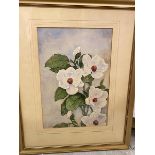 Victor H.S. Burroughs, Magnolia Parviflora, watercolour, signed bottom left, paper label verso (40cm