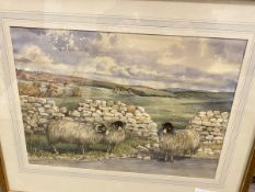 Florence R. Walker, Sheep by a Roadside, watercolour (27cm x 38cm)