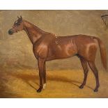 Early 20th Century School, Study of a Racehorse in his Stall, unsigned, oil on board, framed. 36cm