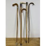 A group of five walking sticks, one with bone handle and white metal collar inscribed Rosemount