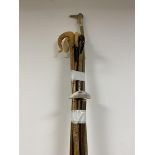 A collection of shepherd's crooks with polished horn handles, another with an antler handle and