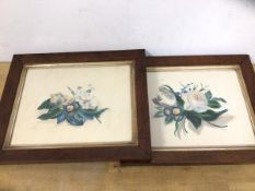 A 19thc School, Studies of Flowers, Watercolour, inscribed with scientific names and date April