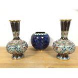 Two 20thc Cloisonne bottle shaped vases with foliate and butterfly decoration both with People's