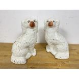 A pair of Staffordshire chimney spaniel dogs each measuring 25cm high