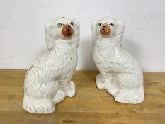 A pair of Staffordshire chimney spaniel dogs each measuring 25cm high