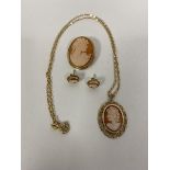 A shell cameo in a 9ct gold mount and on a 9ct gold chain along with 9ct gold stud earrings and