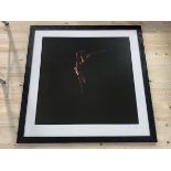 Photographic print of nude female acrobat, numbered 1/10, signed in pencil and dated 2005 bottom