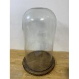 A glass dome on circular wooden base measures 38cm high