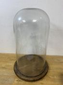 A glass dome on circular wooden base measures 38cm high