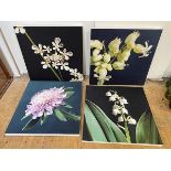 Four photographic prints on canvas depicting various plants including lily of the valley, each