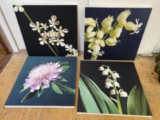 Four photographic prints on canvas depicting various plants including lily of the valley, each