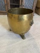 A brass log bin, lion mask ring handle to sides, raised on three paw feet, measures 41cm x 39cm