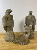 A pair of garden composition garden figures of eagles, one lacking beak, measure 44cm high, along