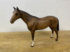 A Beswick horse, slight chip to back left knee, measures 20cm high