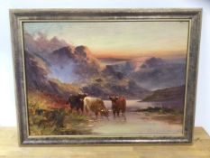 B Davis, Highland Cattle, oil, signed bottom right, measures 39cm x 54cm