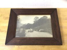 A vintage photograph of sheep on road, in rosewood veneer frame, measures 15cm x 22cm
