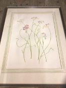 Jane Cockburn, Freesia's, ex Malcolm Innes gallery, watercolour, initialled bottom right, measures