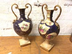 A pair of late 19th early 20thc double handled bottle shaped vases with floral reserves on square